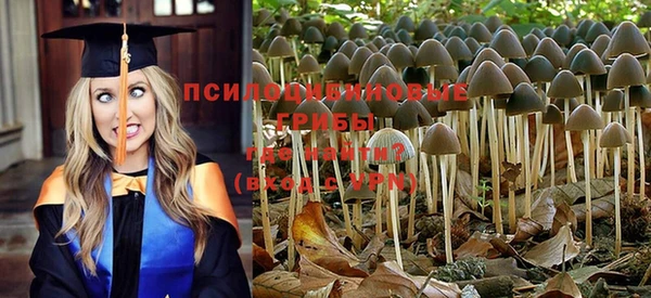 эйфоретик Алексин